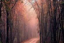 爱游戏-决战伯纳乌！皇马VS阿贾克斯：豪门底蕴VS青春风暴，谁将锁定四强席位？