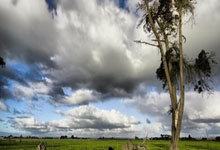 爱游戏下载-帕尔梅拉斯赛前战术培训，提升比赛执行力