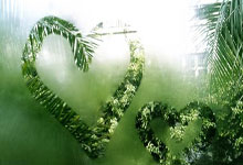 爱游戏官网-猛龙遭遇两连败，伦纳德伤愈复出表现平平