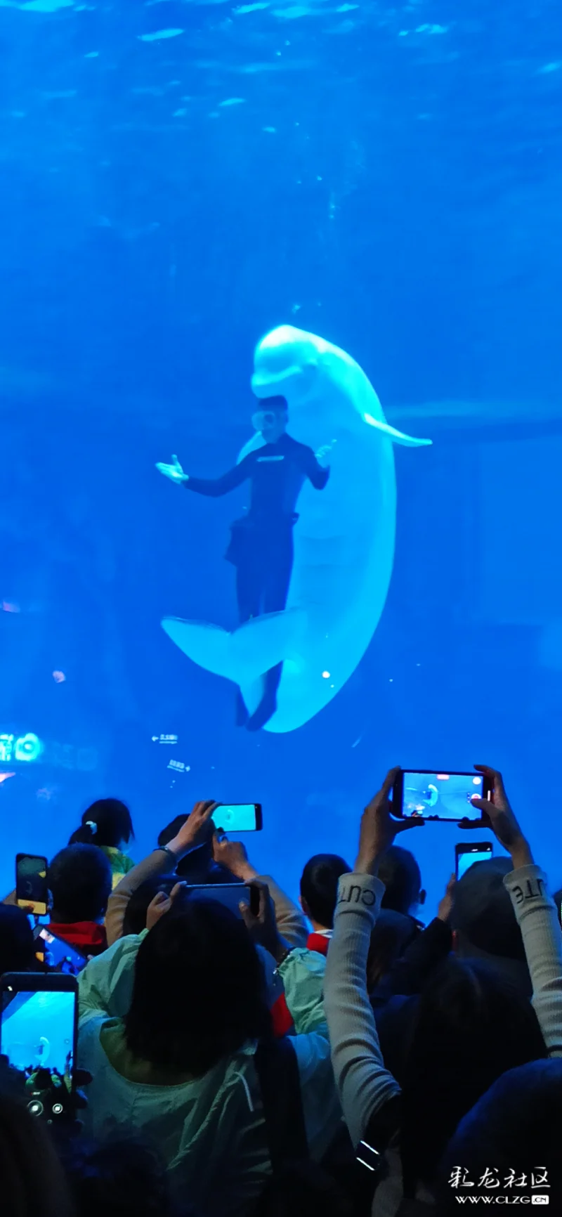 阿根廷足球女将在本地举办展览赛事,邀请社区观赏的简单介绍 阿根廷足球女将在本地举办展览赛事,邀请社区观赏的简单介绍