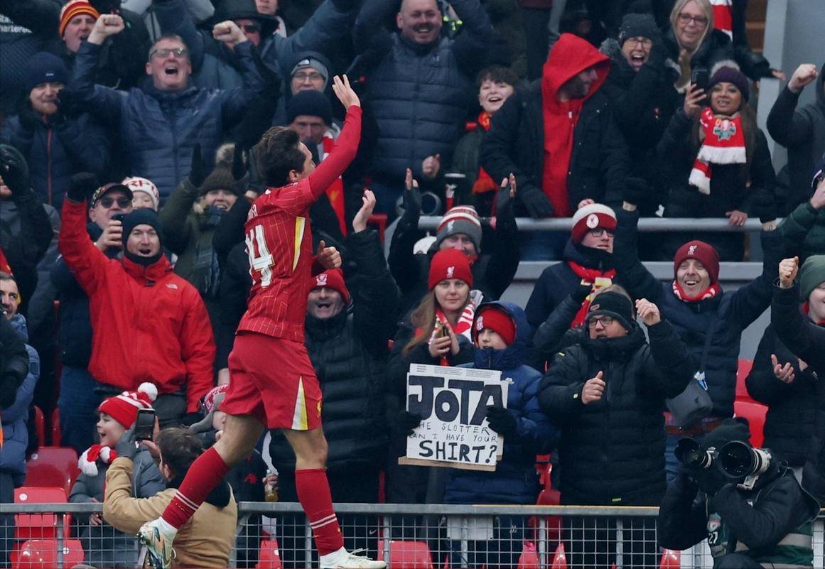 利物浦猛将连斩两球，助阵霍芬海姆主场战胜汉堡的简单介绍