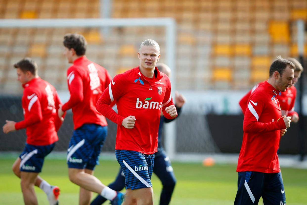 奥地利队在欧预赛中击败对手,实力有所增强 奥地利队在欧预赛中击败对手,实力有所增强