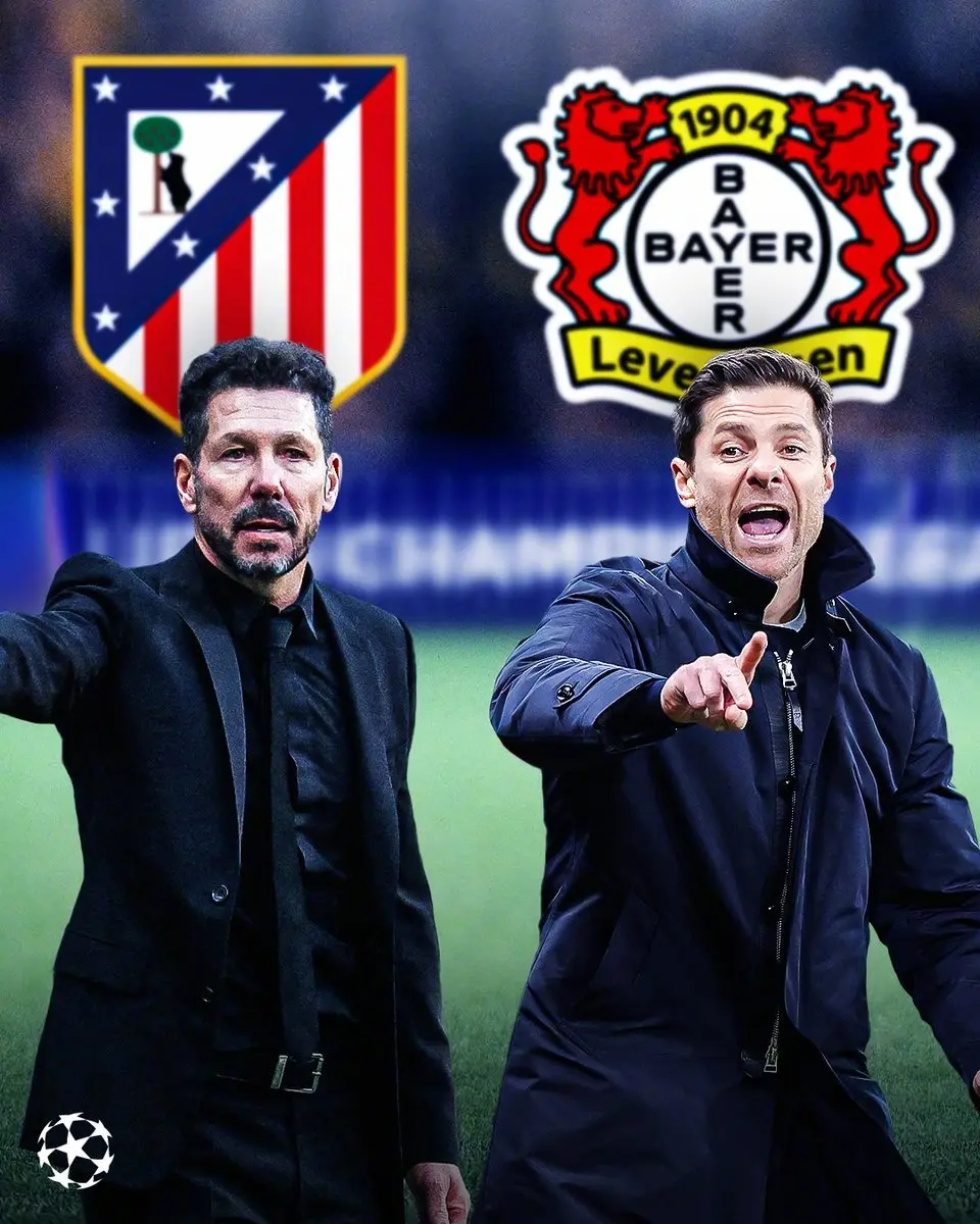 捷克国际球员在勒沃库森获得关键位置的简单介绍